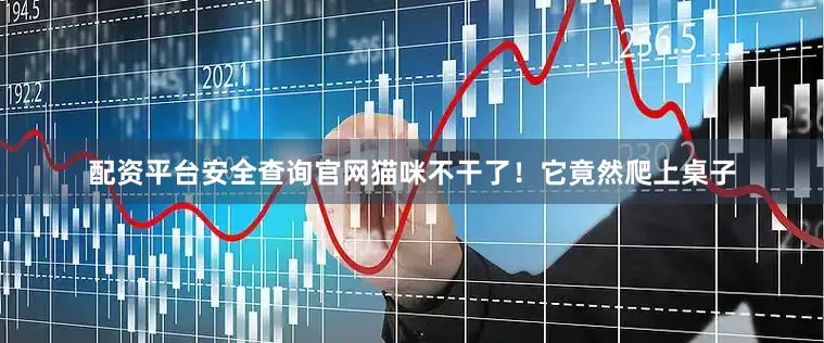 配资平台安全查询官网猫咪不干了！它竟然爬上桌子