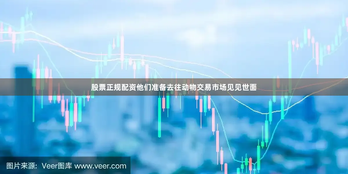 股票正规配资他们准备去往动物交易市场见见世面
