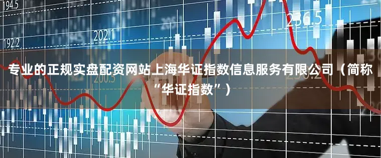 专业的正规实盘配资网站上海华证指数信息服务有限公司(简称“华证指数”)