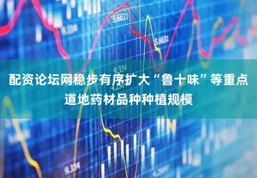 配资论坛网稳步有序扩大“鲁十味”等重点道地药材品种种植规模