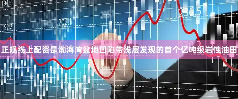 正规线上配资是渤海湾盆地凹陷带浅层发现的首个亿吨级岩性油田