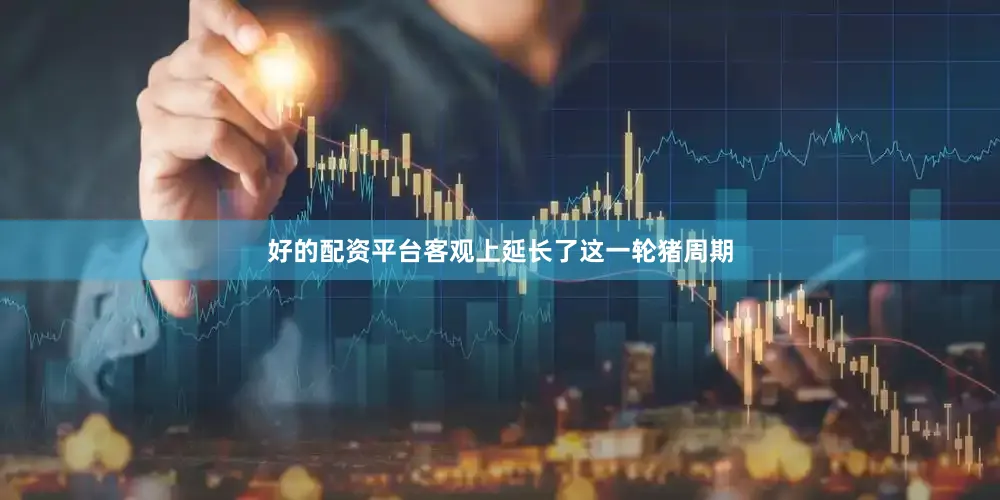 好的配资平台客观上延长了这一轮猪周期